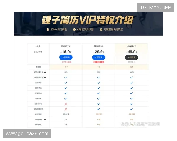 订阅制观赛服务受认可 形成稳定收入模式
